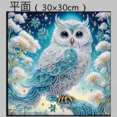 まっちゃん様取り置き中ダイヤモンドアート（特殊ビーズ）30×30 - メルカリ