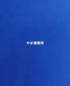 2026年最新】プロマイド シャンクスの人気アイテム - メルカリ