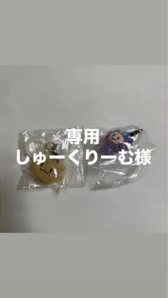 専用ページ しゅーくりーむ様 チリ、ルル