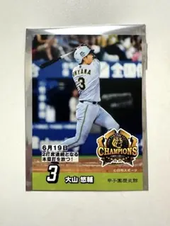 阪神タイガース 大山悠輔 2026 優勝記念カード 甲子園歴史館