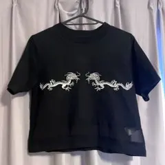 RASVOA ラスボア クロップド丈 刺繍 半袖Tシャツ 透けデザイン