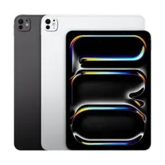 Apple 11インチ iPad Pro (M4) 本体