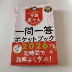 桜桃様 リクエスト 2点 まとめ商品