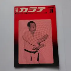 マス大山　カラテスクールBOX マス大山 カラテスクールBOX - メルカリ