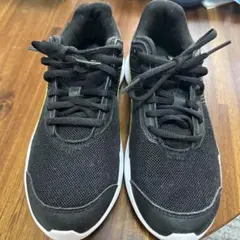 Item thumbnail for item f2057763-dd09-4847-b3d4-5ab58c5a1f30