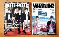 ☆匿名☆激レア☆ PORNOGRAFFITTI × PATi・PATi ポルノグラフィティ 写真集 パチパチ・コンプリートブック