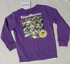 ポケモン　トレーナー　レックウザ　ピカチュウ　　110