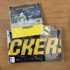 サンロッカーズ渋谷 入会特典グッズ