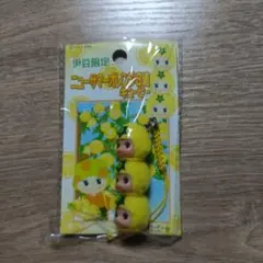 Y様 リクエスト 3点 まとめ商品