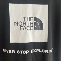 THE NORTH FACE 黒 Tシャツ NT32114