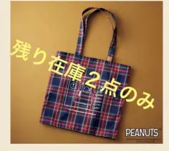 リンネル　26年10月号付録PEANUTS スヌーピー チェック織りBIGトート