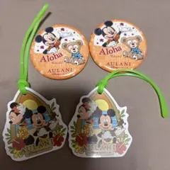【週末処分最終価格】アウラニ ディズニー タグ 缶バッジ