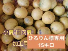 ひろりん様専用　平戸夏香　加工用15キロ