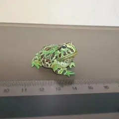 原色両生類カエル図鑑ベルツノガエルのサムネイル
