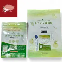 Item thumbnail for item bfc314a3-081d-445d-bcae-a2c12a531ea1