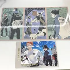 ハイキュー　メモリアルコレクション第2弾　烏野　影山　日向