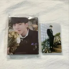 SEVENTEEN セブチ ホシ FML Carat盤