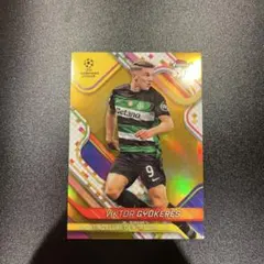 Item thumbnail for item 08e63830-fc78-48ee-aebb-a070766b7db8