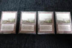 MTG APACランド 島(夫婦岩) 2枚セット - メルカリ