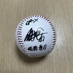 2026年最新】佐藤サインボールの人気アイテム - メルカリ