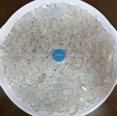 天然シーグラス 白/ホワイト 約700g