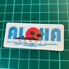 防水ステッカー 新品 H-48 ハワイ アロハ ロゴ