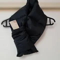 Item thumbnail for item 0047dd7d-57ca-4553-9f3b-49b22d6f5346