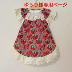 ゆぅり様専用ページ
