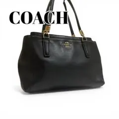 COACH コーチ 2WAY ハンドバッグ ショルダーバッグ レザー 保存袋付き