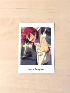 2026年最新】ぱしゃっつ 茨の人気アイテム - メルカリ