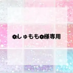 ❁⃘しゅもも❁⃘様専用ページ