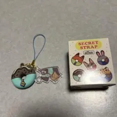 ディズニーストア　ズートピアシークレット　フラッシュ