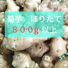 【菊芋・世界三大健康野菜】★ほりたて★新鮮★800g以上★①