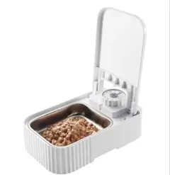 Item thumbnail for item dcec5d7f-84b6-4ad8-82bf-f4bbb82ccf8f