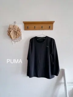 PUMA プーマ 長袖Tシャツ ブラック スポーツウェア DRYCELL 160