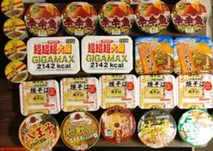 ぷ*迎様 カップ麺 詰め合わせ 23個のサムネイル