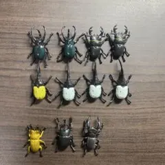 昆虫王者ムシキング　磁石