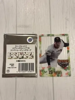 Item thumbnail for item 5c05fc16-084e-4757-a042-4ad2f55e8c09