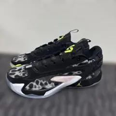 Item thumbnail for item 0bd1c580-16b7-42a8-88f2-ca3ba7b6c621