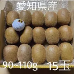 キウイフルーツ【愛知県産】