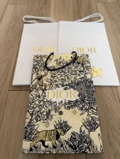 Dior ショップ袋 3枚セット 約38×25cm