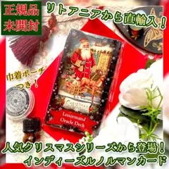 正規品】海外インディーズ✨ケース付✨美しい銀河の光のルノルマン