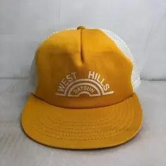 Item thumbnail for item 76932472-6d8f-49cd-9a77-6e3d50cb7720