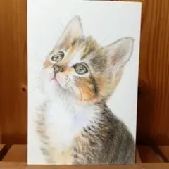 Item thumbnail for item 3a3234d9-d332-4bd1-a78c-fdf08cbbf333