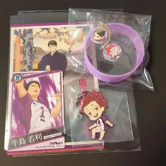 ハイキューファンパーク　シリコンバンドコレクション　白鳥沢　おまけ付き