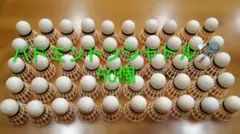 Item thumbnail for item dacac12d-48ee-448e-9373-5870932b34f8