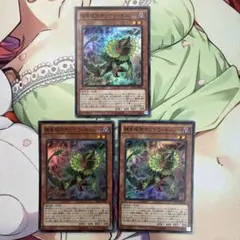 遊戯王 捕食植物サンデウキンジー スーパー SPFE 3枚 ②