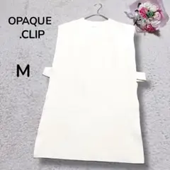 Item thumbnail for item 7dbd064b-8274-4e71-b237-193cc59d0929