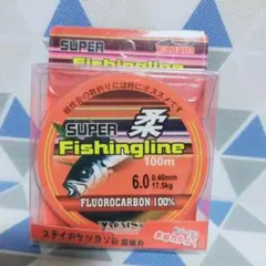 【６号】フロロカーボンライン100ｍ　リーダーや仕掛け作り、ぶっ込み釣り等に