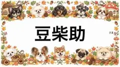 専用